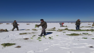 Siverek'te karlar içerisine yem bırakıldı