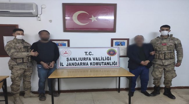 Urfa'da 5 kişinin öldüğü olayda 1 tutuklama