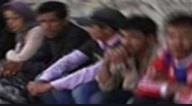 Urfa'da 9 kaçak göçmen yakalandı