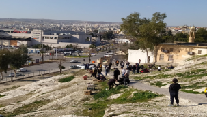Urfa'da binlerce kuş gökyüzüne bırakıldı