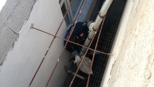 Urfa'da kedi kurtarma operasyonu