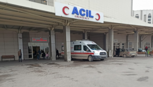 Urfa'da taşlı sopalı kavga, 8 yaralı