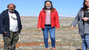 Urfa'da tür izleme çalışmaları devam ediyor