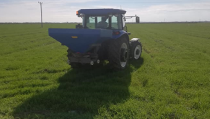 Urfa'da yağmur ile tarlaya gübre attılar