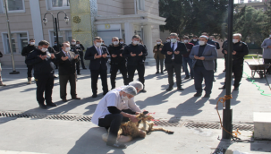Urfa İl Emniyet Müdürlüğü Kurban Kesti