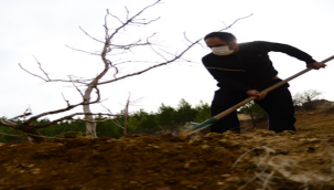 2020 yılında1 Milyon fidan toprakla buluştu