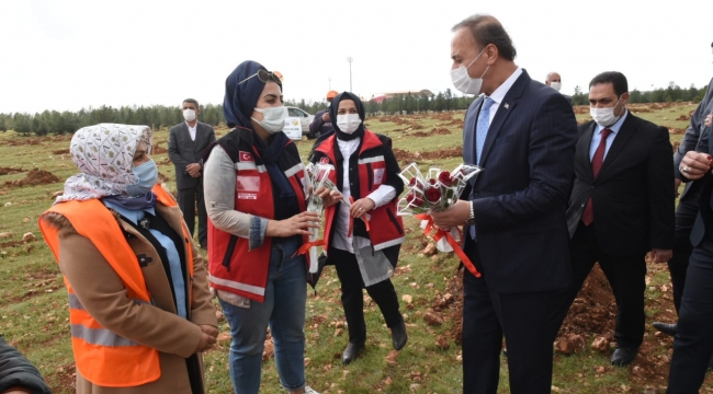 8 Mart Ağaçlandırma Etkinliği