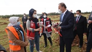 8 Mart Ağaçlandırma Etkinliği