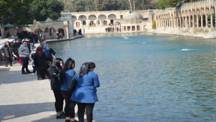 Balıkgöl hafta sonu yine eski görüntüsüne döndü