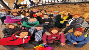 Göbeklitepe'nin simgesi Yıldız'ın geceye çekilmesine tepki