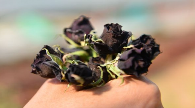 Halfeti'nin Karagülü Tescillendi