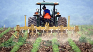 Mazot gübre desteği ödemesi yarın başlıyor