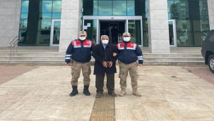 Şanlıurfa'da 13 yıldır aranan cinayet zanlıları yakalandı