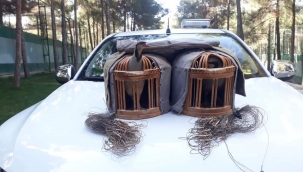 Şanlıurfa'da Kaçak avcılar suçüstü yakalandı