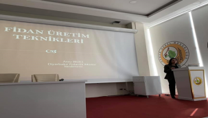 Şanlıurfa'da OBM'de hizmet içi eğitim başladı