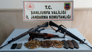 Şanlıurfa'da silah kaçakçılığı operasyonu: 1 tutuklama
