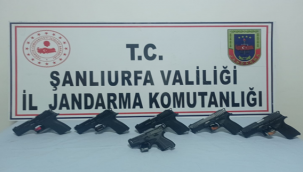 Şanlıurfa'da silah operasyonu 1 kişi tutuklandı
