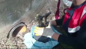 Şanlıurfa'da sulama borusunda silah ele geçirildi