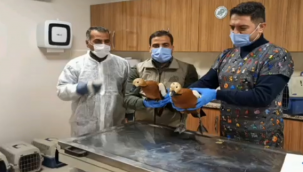 Şanlıurfa'da tedavi edilen kuşlar doğaya salındı