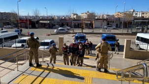 Şanlıurfa'da Trafo ve kablo hırsızları yakalandı