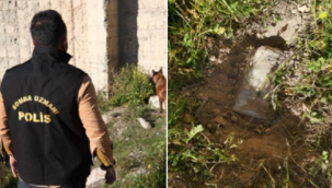 Şanlıurfa'da yakalanan bombalı eylem hazırlığındaki 4 terörist tutuklandı