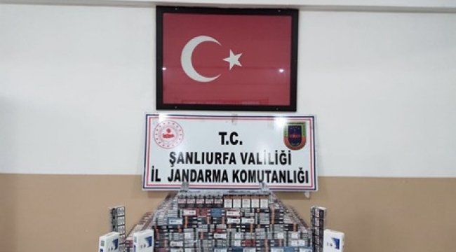 Urfa'da  hırsızlara operasyon: