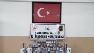 Urfa'da  hırsızlara operasyon: