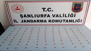 Urfa'da tarihi eser operasyonu