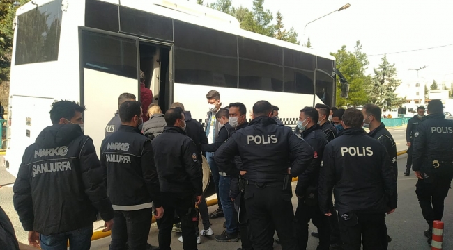 Urfa"da uyuşturucu operasyonu, 19 tutuklama