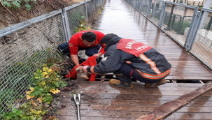 Yavru köpeği itfaiye ekipleri kurtardı