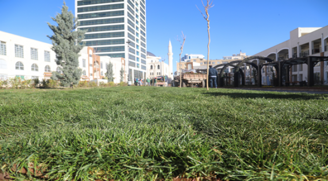 Yeşil koridor'da peyzaj çalışmaları başladı  