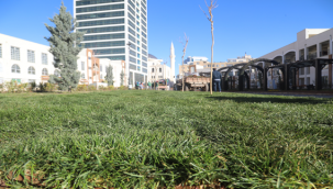 Yeşil koridor'da peyzaj çalışmaları başladı  