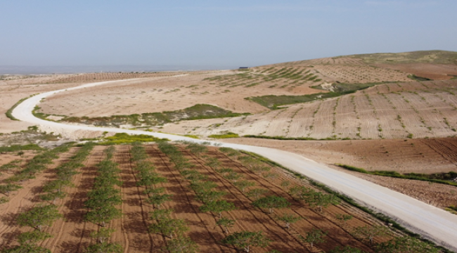 Birecik, Değişimi Büyükşehir İle Yaşıyor