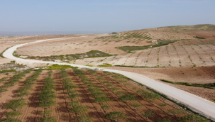 Birecik, Değişimi Büyükşehir İle Yaşıyor