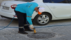 Büyükşehir vektör ile mücadelede hız kesmiyor