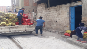 Haliliye'de ihtiyaç sahiplerine patates dağıtımı başladı
