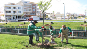 Haliliye'de Parklar bahara hazırlanıyor