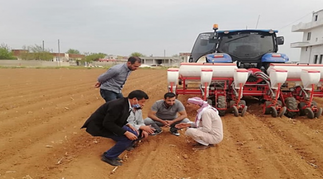  Harran Ovasında Pamuk Ekim Sezonu Başladı