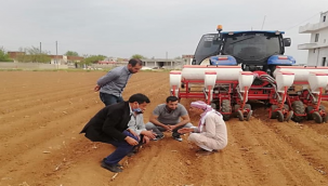  Harran Ovasında Pamuk Ekim Sezonu Başladı