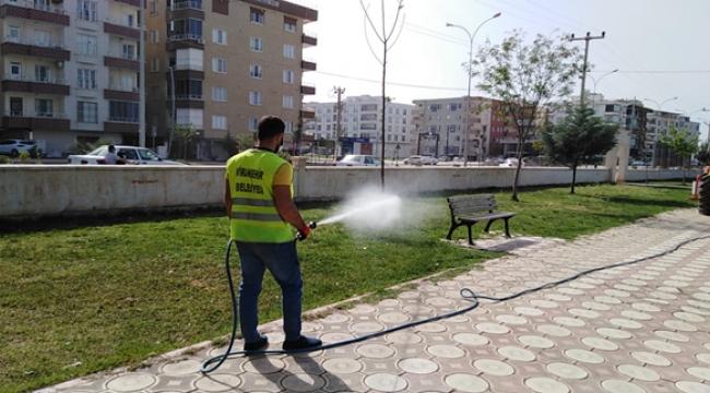 Havalar Isındı Haşerelerle Mücadele Başladı