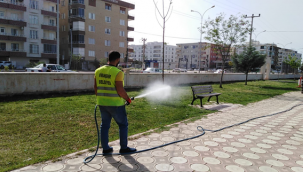 Havalar Isındı Haşerelerle Mücadele Başladı