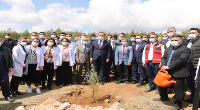 Sağlık Çalışanları Anısına Hatıra Ormanı Oluşturuldu