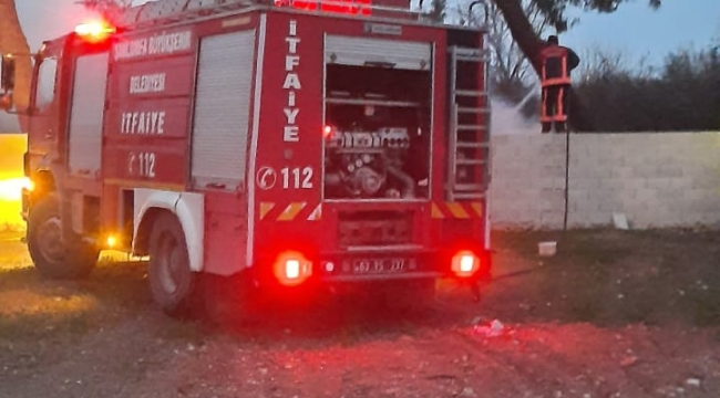 Şanlıurfa'da çam ağaçları yandı