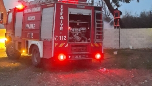 Şanlıurfa'da çam ağaçları yandı