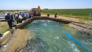 Şanlıurfa'da kanala düşen genç kayboldu