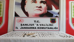 Şanlıurfa'da Roma dönemine ait 523 tarih eser ele geçirildi