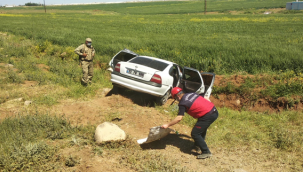 Şanlıurfa'da trafik kazası