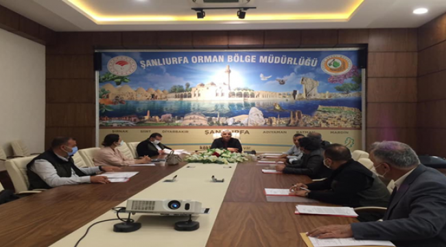 Şanlıurfa orman bölge toplandı