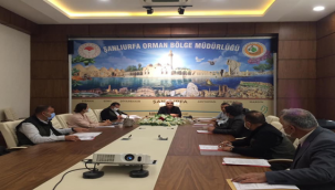 Şanlıurfa orman bölge toplandı