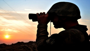 Şanlıurfa sınırda etkisiz hale getirildiler